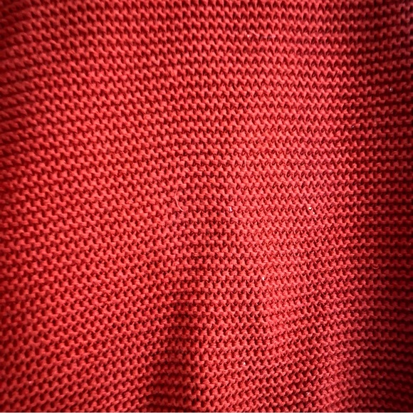 Everlane The Link-Stitch Crewneck Sweater in Rust - Picture 10 of 10